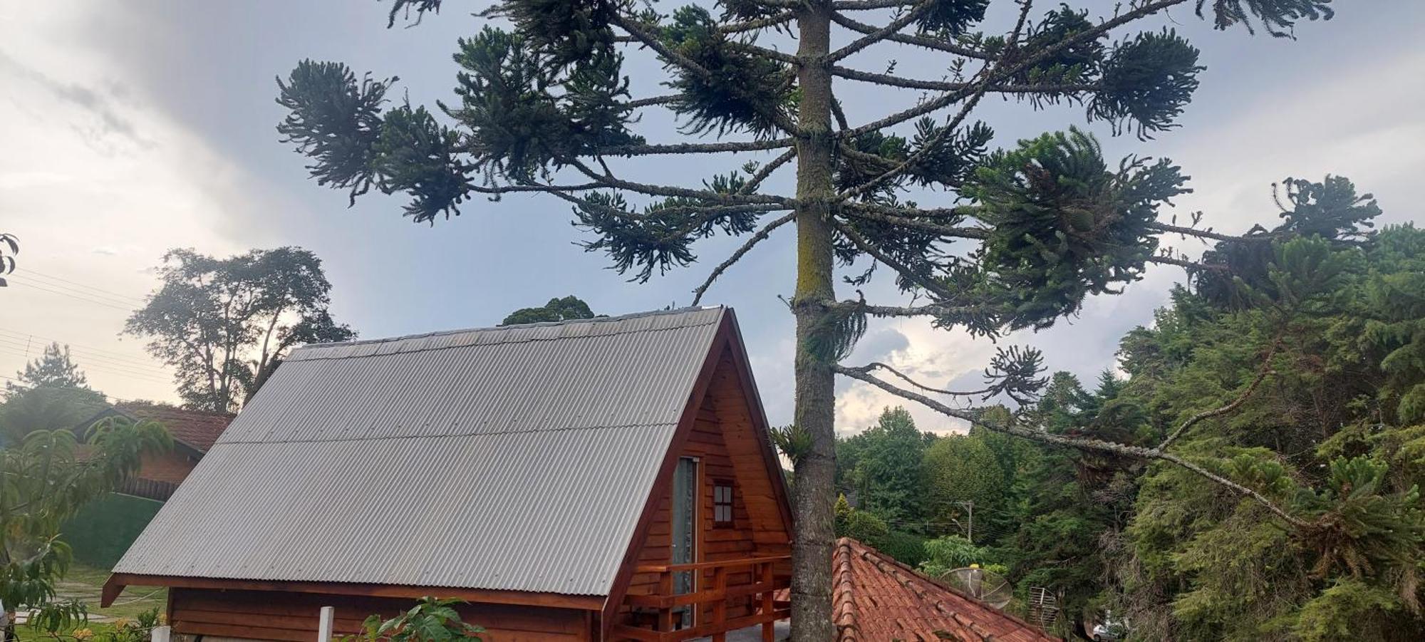 Chale Com Hidromassagem Da Vick Hotell Campos do Jordão Eksteriør bilde